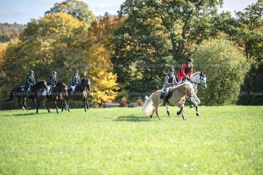 20251011_Jagd-Marbach_0433 | Foto: Thomas Hartig