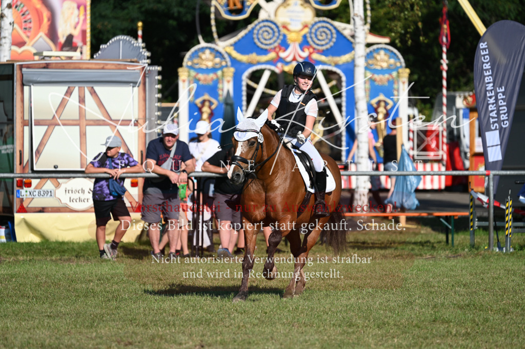DSC_4981 | Pferde- und Turnierfotografie in Westsachsen. Pferdeportraits, Auftragszeichnungen und intuitive Kunst.