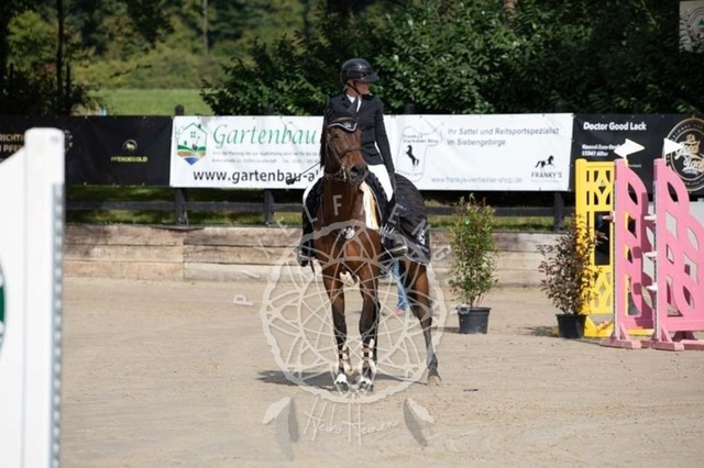 2B4A1342 | pixelfaenger - Realisiert mit Pictrs.com