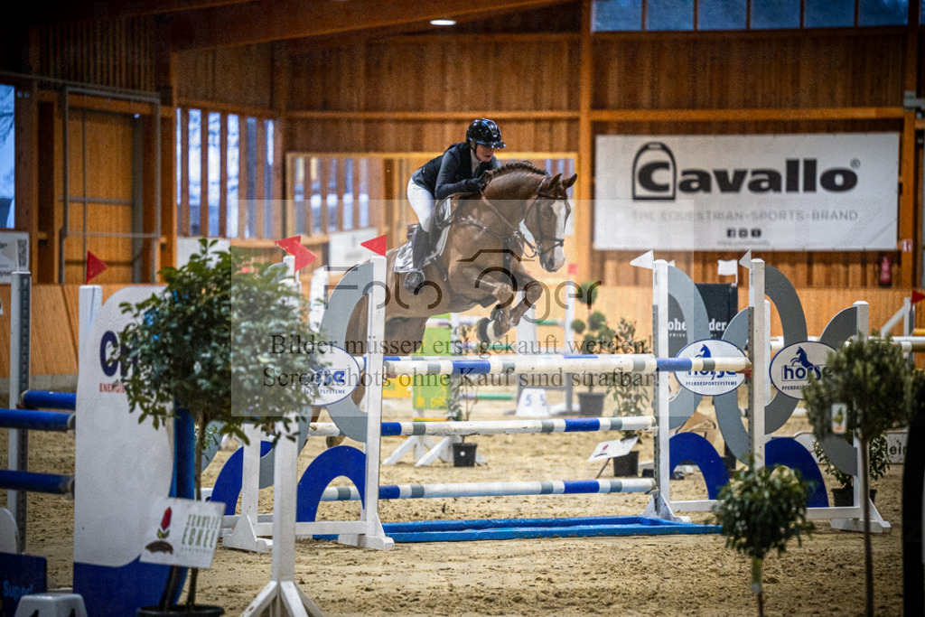 DOS_2656 | Entdecke hochwertige Reitturnierfotos von Foto Oger. Professionell, emotional und authentisch – jetzt Lieblingsmomente im Shop bestellen.Deutschlandweite Turnierfotografie. - Realisiert mit Pictrs.com