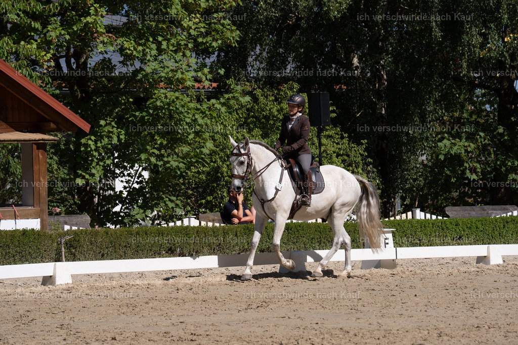 WL_DR_70_sinafilmart_IN07300 | working equitationturnier fotograf videograf stoibphotography marixx film working equitation deutschland reitsport turnierfotografie eventfotografie equestrian events