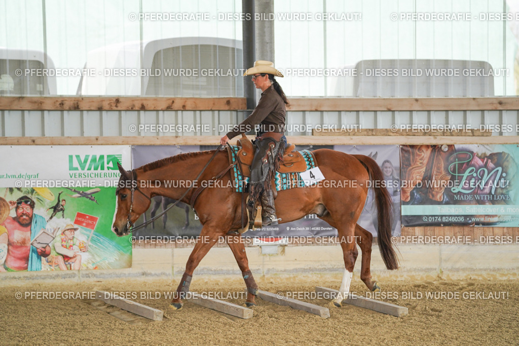 DSC02612 | Pferdegrafie