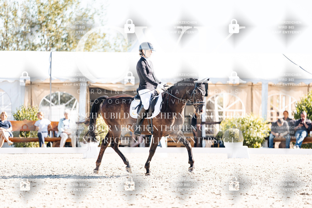 CK909041 | Turnierfotografie Pferdefotografie Trier Rheinland-Pfalz Pferdesport Reitsport Tierfotografie Sportfotografie Pferdevideo Pferdevideografie Equestrianvideography equestrianphotography  - Realisiert mit Pictrs.com