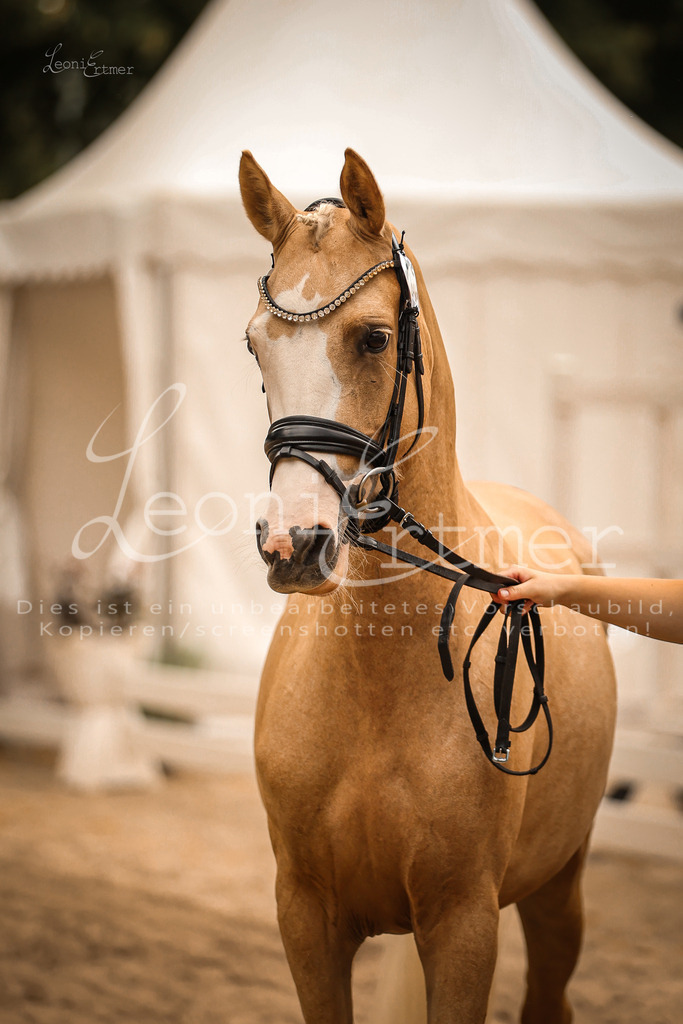 10.So00151 | Leoni Ertmer Photography - Realisiert mit Pictrs.com