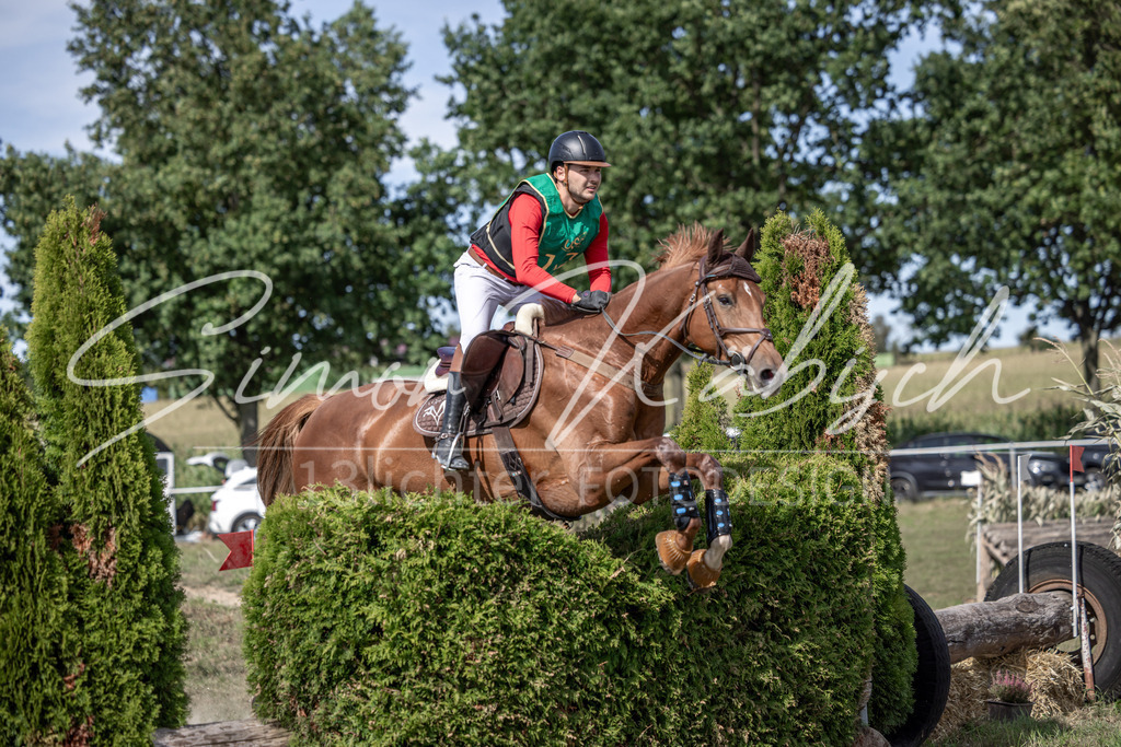 20250907-_3LI1275 | Tierfotografie Pferde, Hunde, Katzen, Haustiere.
Turnierfotografie Reitturniere, Reiten, Springreiten, Dressur in Hanau, dem Main-Kinzig-Kreis und dem Rhein-Main- Gebiet um Frankfurt