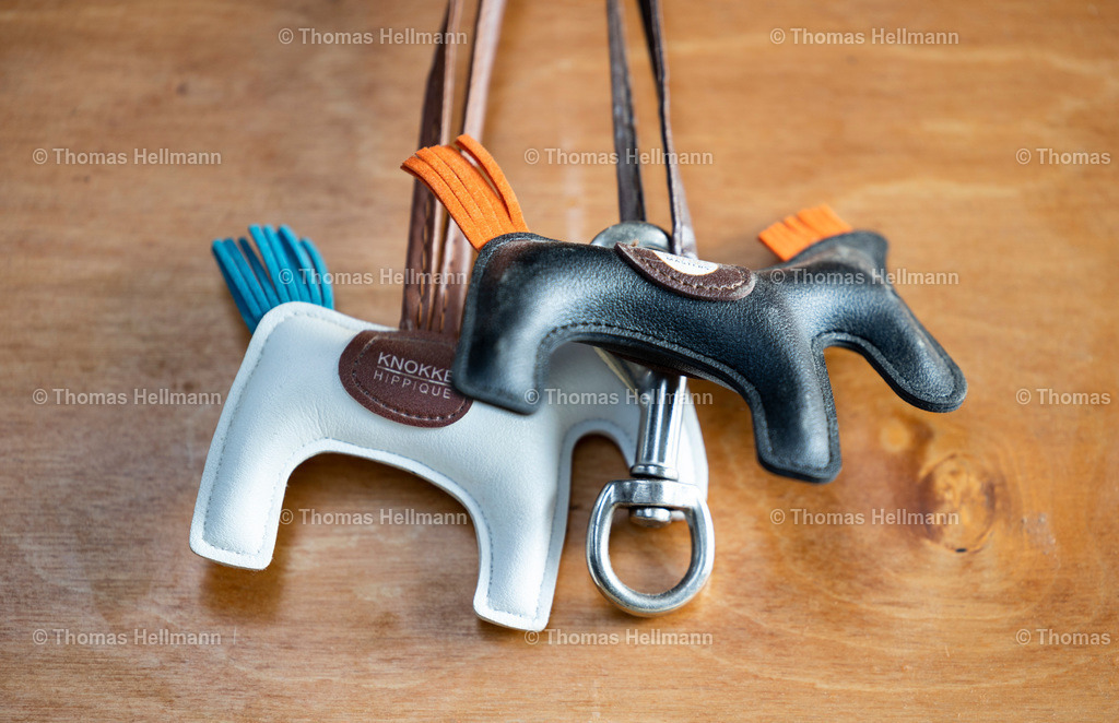 Glücksbringer C. Müller 047 | Der professionelle Turnierfotograf ✓ Reitsport Bilder ▷ Shop ✚ günstig & schnell ✚ mit Zugang für Redakteure