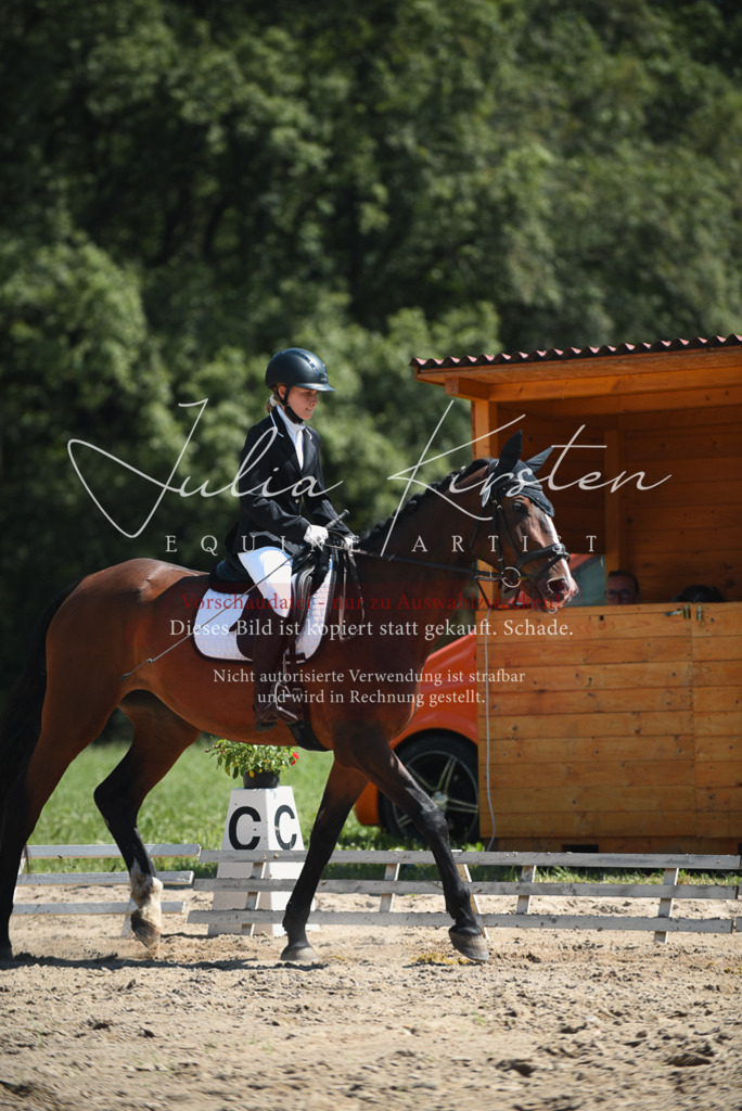 DSC_2249 | Pferde- und Turnierfotografie in Westsachsen. Pferdeportraits, Auftragszeichnungen und intuitive Kunst.