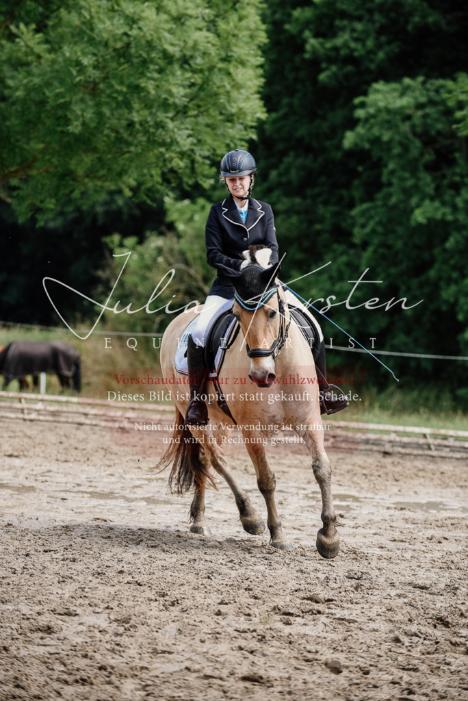 DSC_1632 | Pferde- und Turnierfotografie in Westsachsen. Pferdeportraits, Auftragszeichnungen und intuitive Kunst.