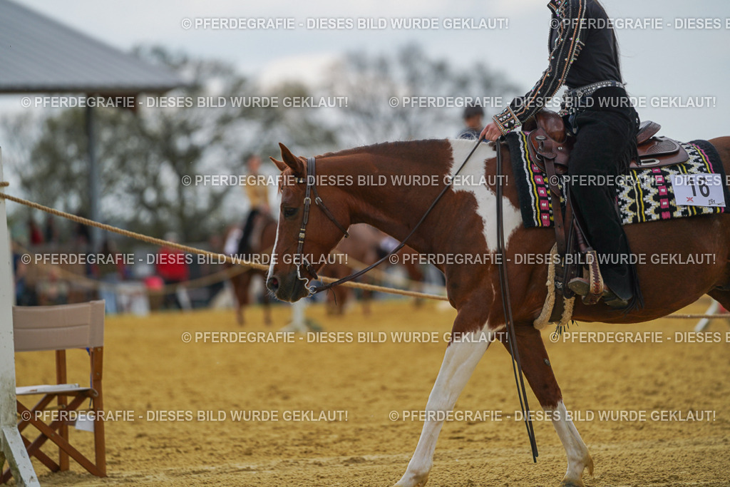 DSC06340 | Pferdegrafie