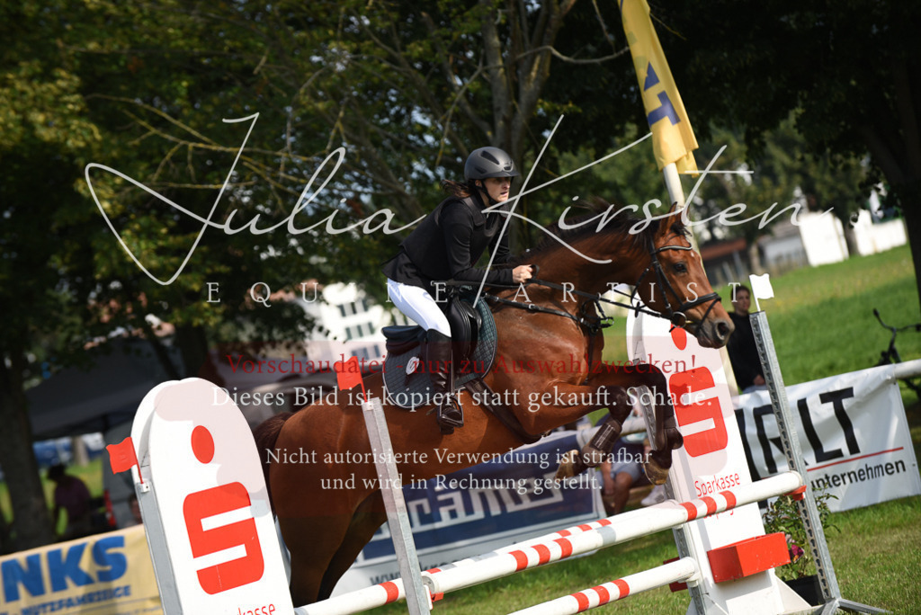 DSC_8836 | Pferde- und Turnierfotografie in Westsachsen. Pferdeportraits, Auftragszeichnungen und intuitive Kunst.