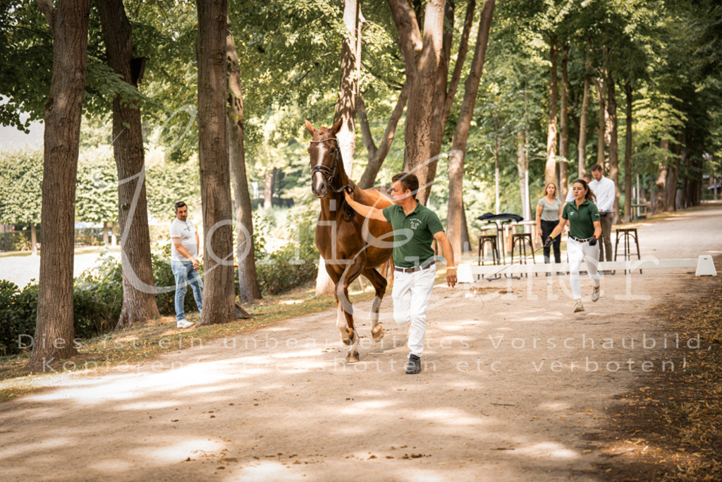 FrPfM00132 | Leoni Ertmer Photography - Realisiert mit Pictrs.com