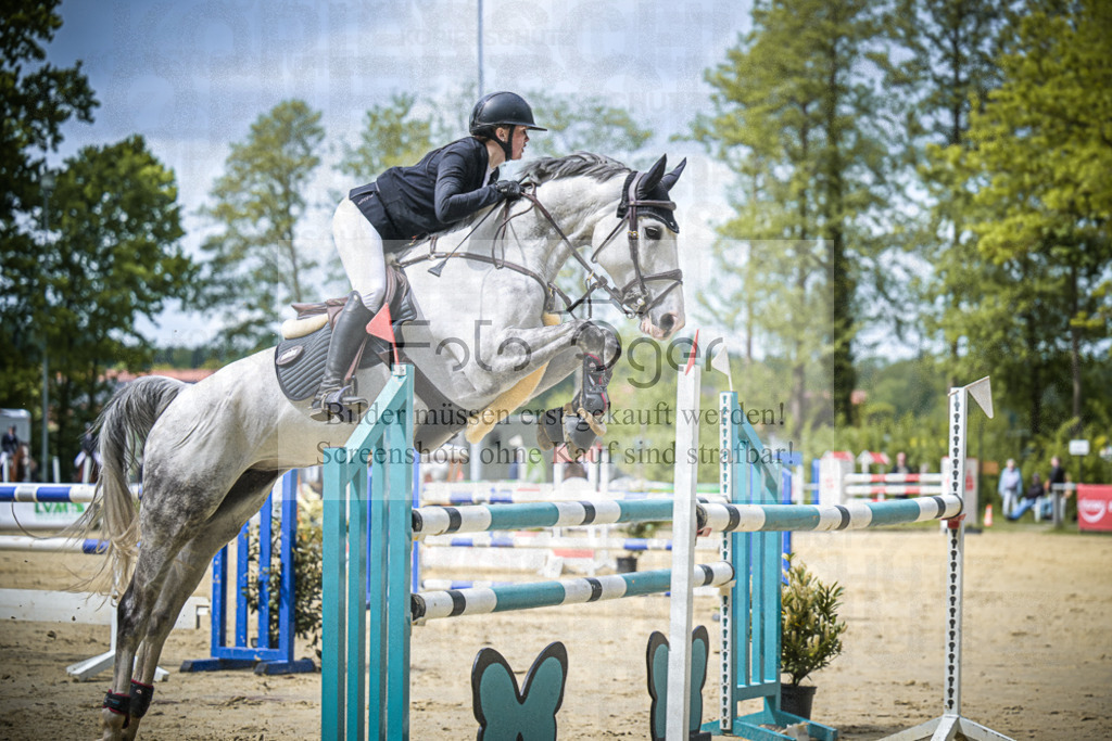 DOS_8588 | Entdecke hochwertige Reitturnierfotos von Foto Oger. Professionell, emotional und authentisch – jetzt Lieblingsmomente im Shop bestellen.Deutschlandweite Turnierfotografie. - Realisiert mit Pictrs.com