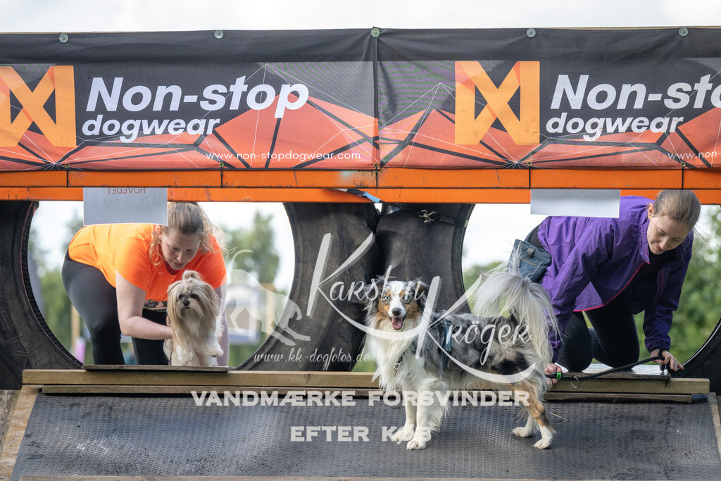 1553_ZZ94766 | kk-dogfotos