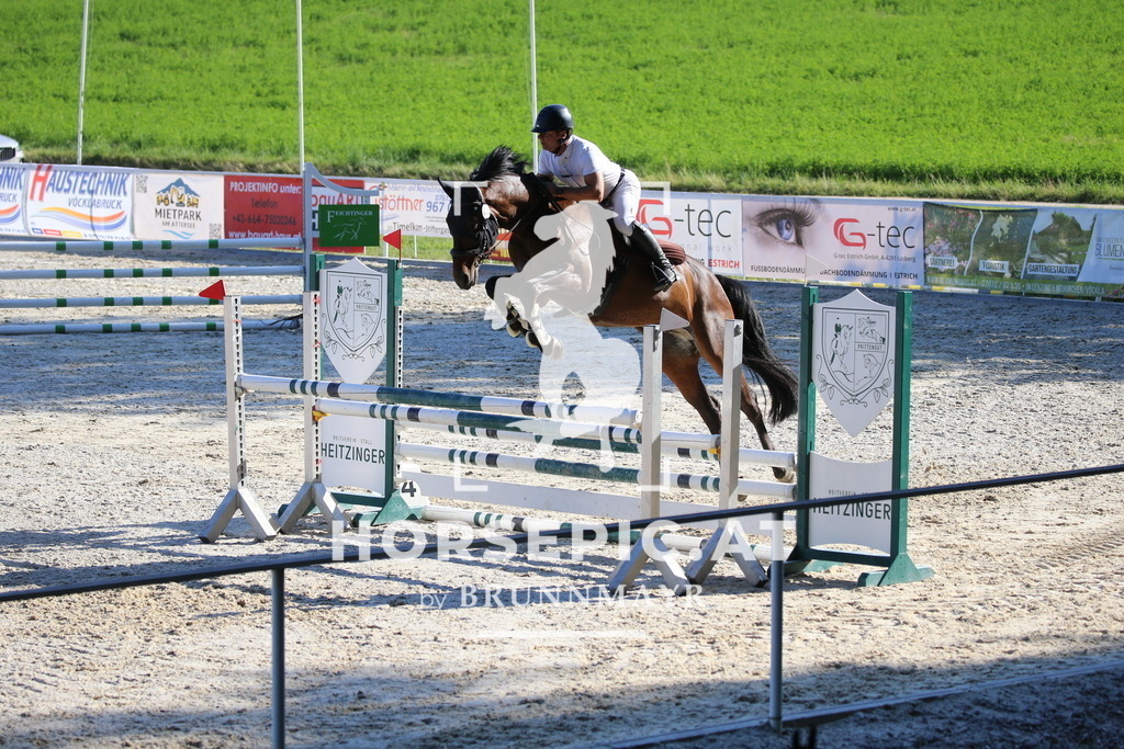 DL2Q6526 | Willkommen bei Brunnmayr - Design & Fotografie – Ihrem Spezialisten für Reitturniere und Pferdeveranstaltungen in Oberösterreich, Salzburg und Bayern! Seit über 17 Jahren sind wir leidenschaftlich dabei.