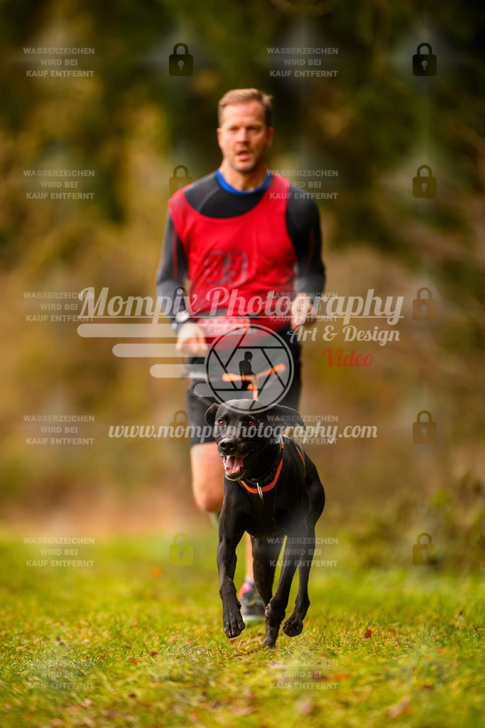 MompixPhotography_2SSTSSBW_2025_SO_Canicross-12 | PayLife