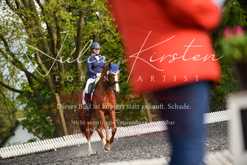 20230513_JK-Röhrsdorf-17-381 | Pferde- und Turnierfotografie in Westsachsen. Pferdeportraits, Auftragszeichnungen und intuitive Kunst.