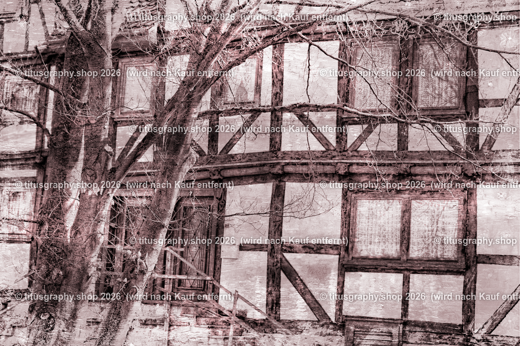 Oberkaufungen | titusgraphy-shop: Geschenkideen mit Qualitätsfotos. titusgraphy-shop: gift ideas with quality photos. titusgraphy-shop: idées cadeaux avec photos de qualité.  - Realisiert mit Pictrs.com