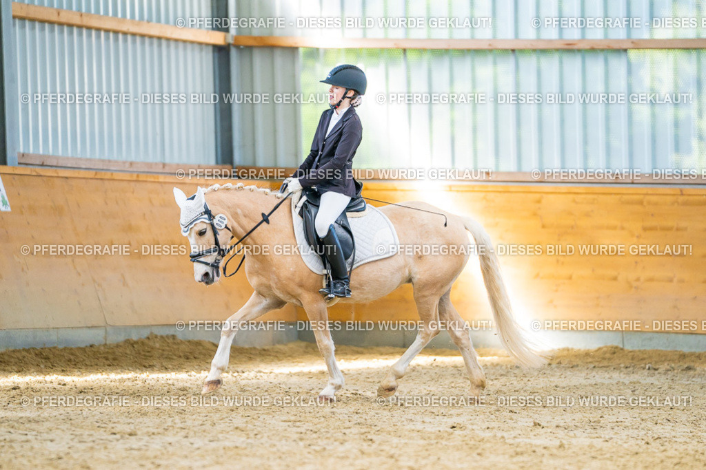 DSC07213 | Pferdegrafie