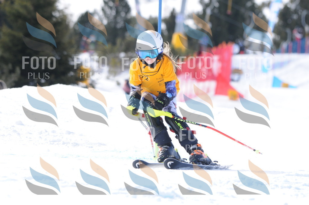 C7390 | holidayphoto