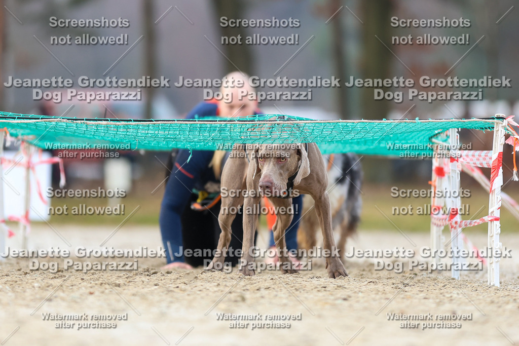 Dog Paparazzi - Strongdog North Mrz26-3976 | Dog Paparazzi Jeanette Grottendiek Fotografie & Videografie - Realisiert mit Pictrs.com