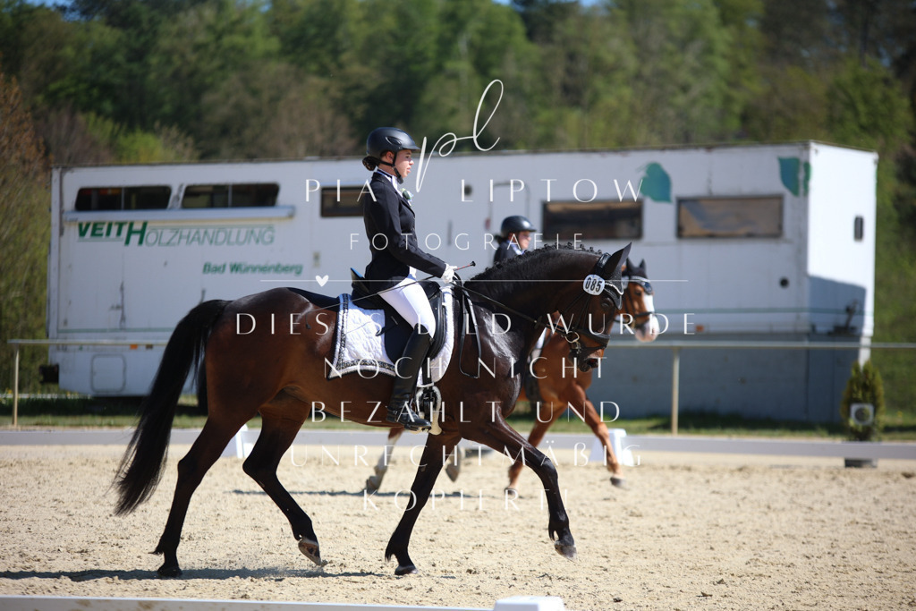 IMGT1540 | pl-fotografie