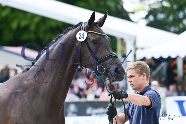 24 Fleur Unique DE433330004819 Foundation - Fürst Romancier DSC_0235 | <meta name="description" content="★Offizieller Merchandise und Foto-/Videostore des Oldenburger Verbandes.★ ✅Jetzt auch digital Ausdrucke erhältlich." />
<meta name="keywords" content="Merchandise Foto-/Videostore Oldenburger Verband Photographie 