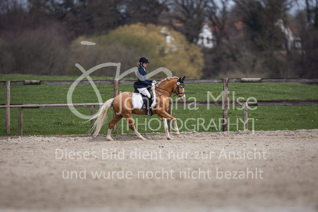 230410_Frühlingsfest_A-Dressur-517 | Deine schönsten Turniermomente als professionelle Fotos! Entdecke hochwertige Pferdesport-Fotografie im Online-Shop. Jetzt Fotos finden & bestellen!