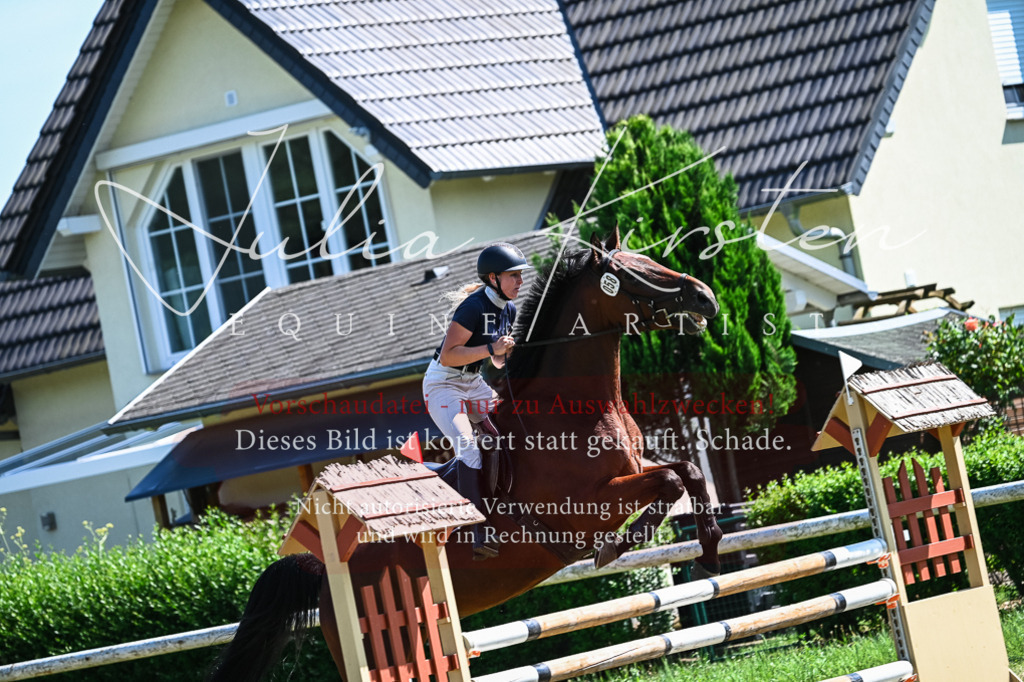 DSC_1281 | Pferde- und Turnierfotografie in Westsachsen. Pferdeportraits, Auftragszeichnungen und intuitive Kunst.