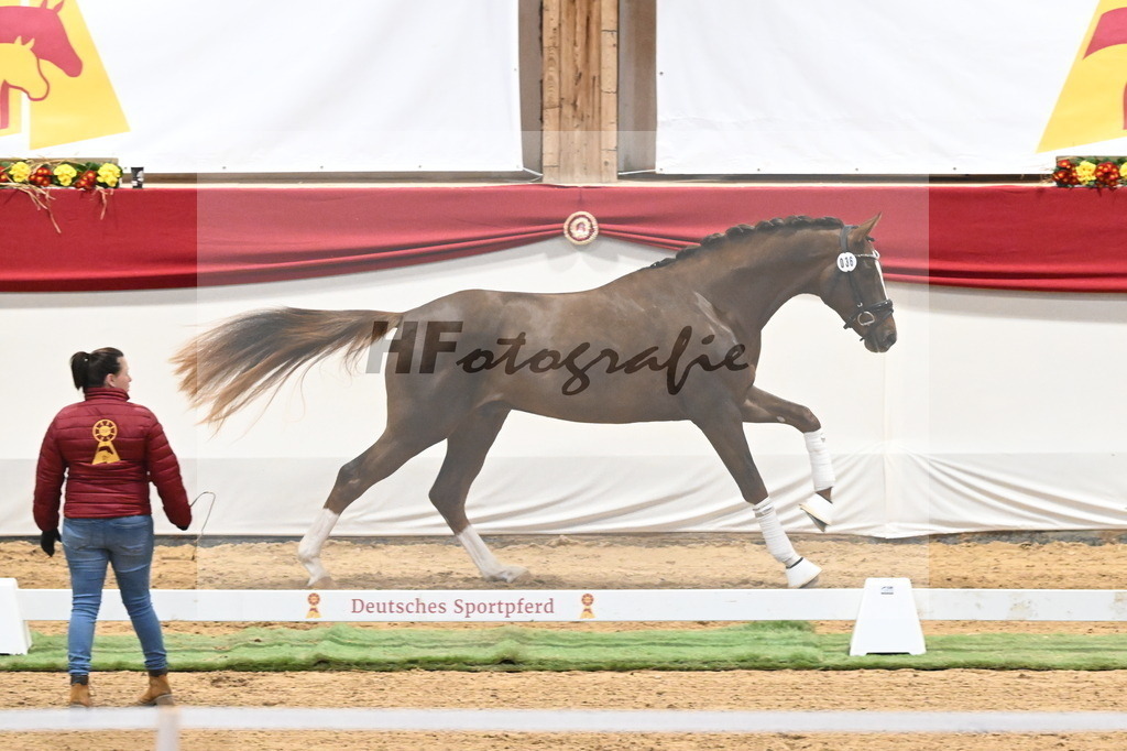 Kat.-Nr. 36 v. Benicio_Galneder_3260213 | hf-fotografie - Realizzato con Pictrs.com