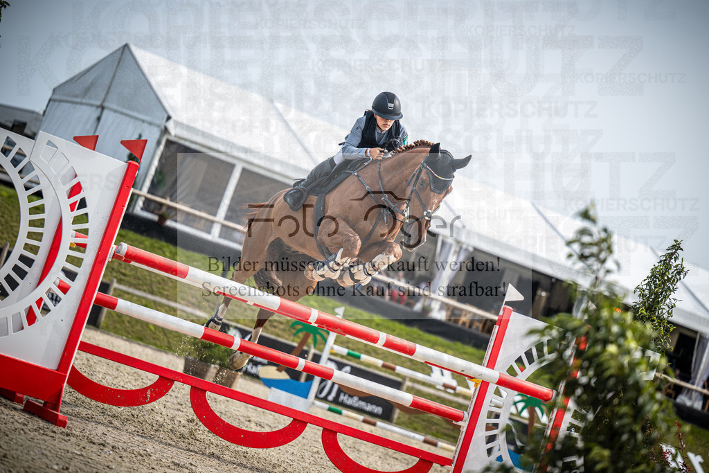 DOS_9636 | Entdecke hochwertige Reitturnierfotos von Foto Oger. Professionell, emotional und authentisch – jetzt Lieblingsmomente im Shop bestellen.Deutschlandweite Turnierfotografie. - Realisiert mit Pictrs.com