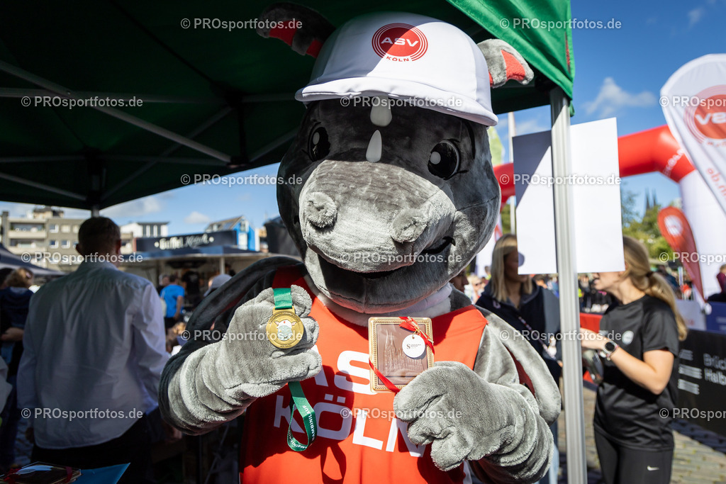 44. Kölner Brückenlauf; Koeln, 14.09.25 | Impressionen vom 44. Kölner Brückenlauf am 14.09.25 am Schokoladenmuseum in Koeln. Foto: BEAUTIFUL SPORTS/Leah Kohring
