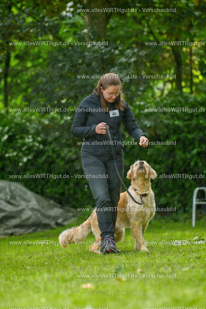 @allesWIRTHgut_Tierfotografie - www.allesWIRTHgut.de - 7R501522 | Professionelle Tierfotografie in Mönchengladbach von Daniel Wirth (allesWIRTHgut). Liebevolle & natürliche Bilder von Hunden & Katzen für unvergessliche Erinnerungen.