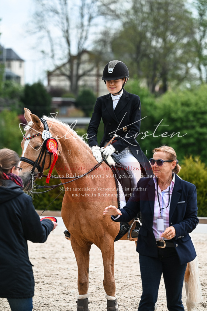 20230514_JK-Röhrsdorf-19-355 | Pferde- und Turnierfotografie in Westsachsen. Pferdeportraits, Auftragszeichnungen und intuitive Kunst.
