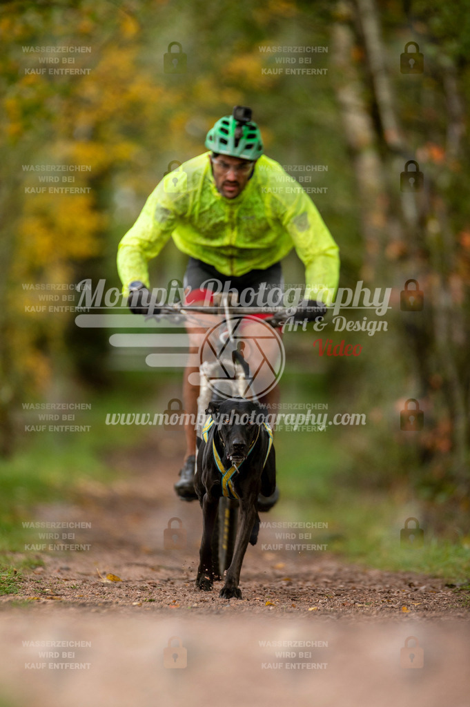 TSB_2023_E4_Bike-6 | PayLife