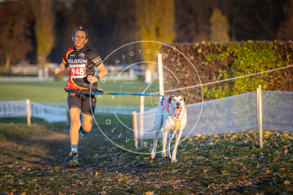 CaniXpix_DV3A5546 | Hundefotografie, Tierfotograf, Pfotenfotografie, Fotoshooting Hund, Hunde Portrait, Hundesport, Hundeportraits, Heideshooting, Hunde, Sportfotograf, Hundefotograf, Turnierhundsport, THS,  - Realisiert mit Pictrs.com