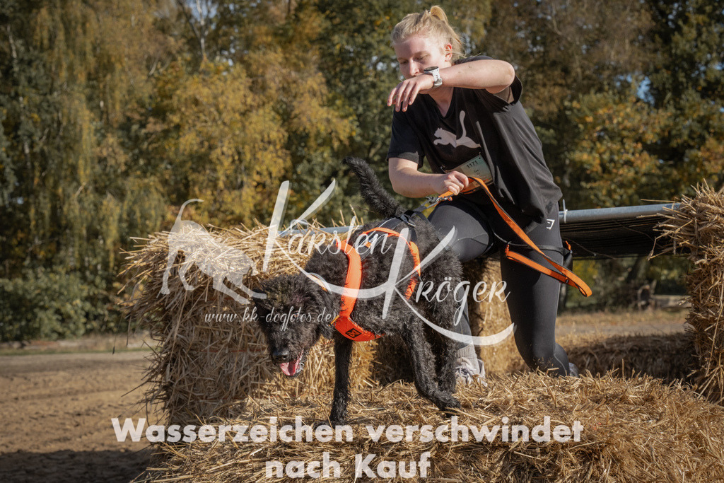 1051_ZZ99439 | kk-dogfotos