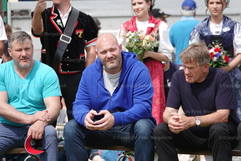 DSC04184 | Schwingen - Realisiert mit Pictrs.com