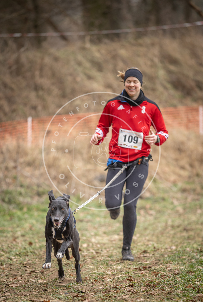 Pfotenfotografie_DV3A7519 | Hundefotografie, Tierfotograf, Pfotenfotografie, Fotoshooting Hund, Hunde Portrait, Hundesport, Hundeportraits, Heideshooting, Hunde, Sportfotograf, Hundefotograf, Turnierhundsport, THS,  - Realisiert mit Pictrs.com