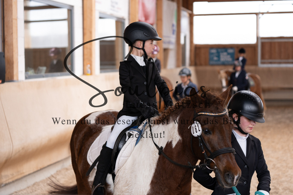 A7507267 | Pferdefotograf