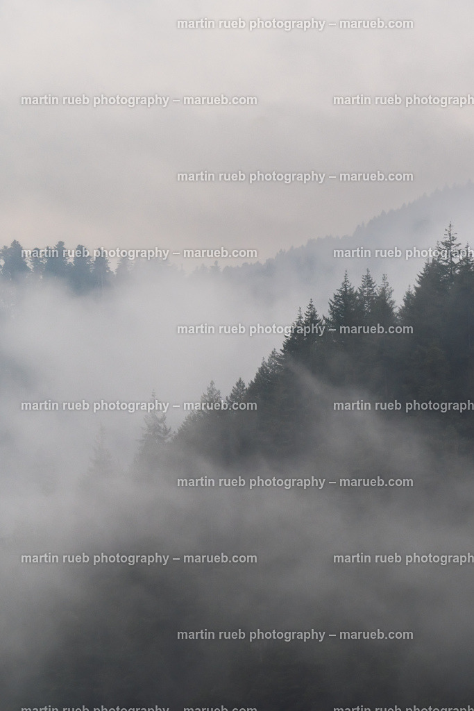 Misty trees | Clouds in the Black Forest fading trees and hills - Realisiert mit Pictrs.com