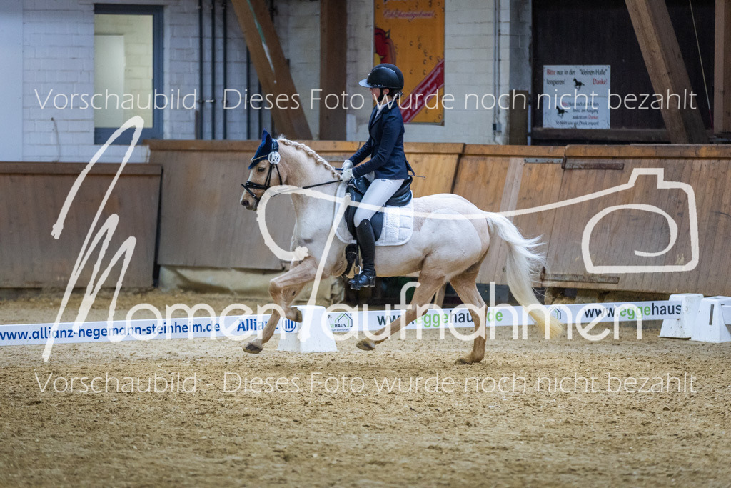 Sth-WBO25-EDr-141 | MomenTaufnahmen Pferdesportfotos