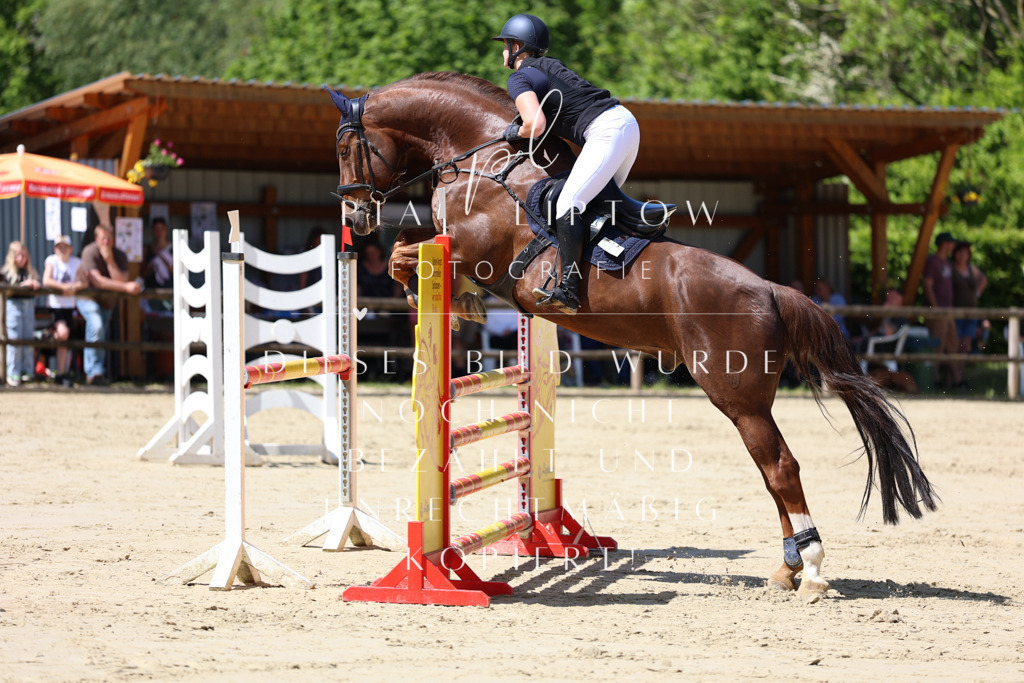 IMGS8758 | pl-fotografie