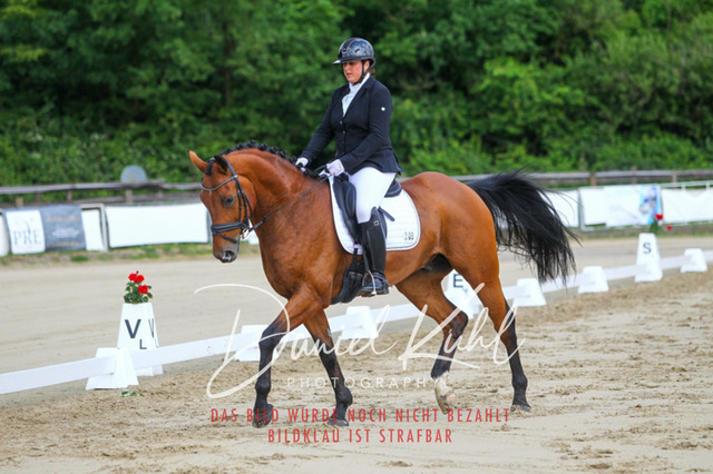 DKP45476 | Turniersportfotografie; Pferdefotografie; Dressurfotografie