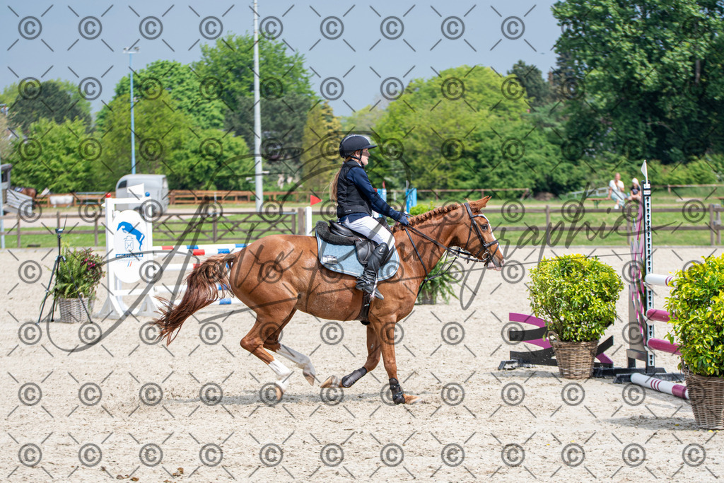 KPT_2937 | andre_photographic