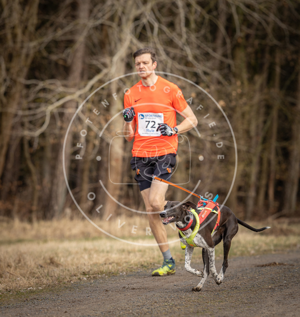 DV3A3651 | Hundefotografie, Tierfotograf, Pfotenfotografie, Fotoshooting Hund, Hunde Portrait, Hundesport, Hundeportraits, Heideshooting, Hunde, Sportfotograf, Hundefotograf, Turnierhundsport, THS,  - Realisiert mit Pictrs.com