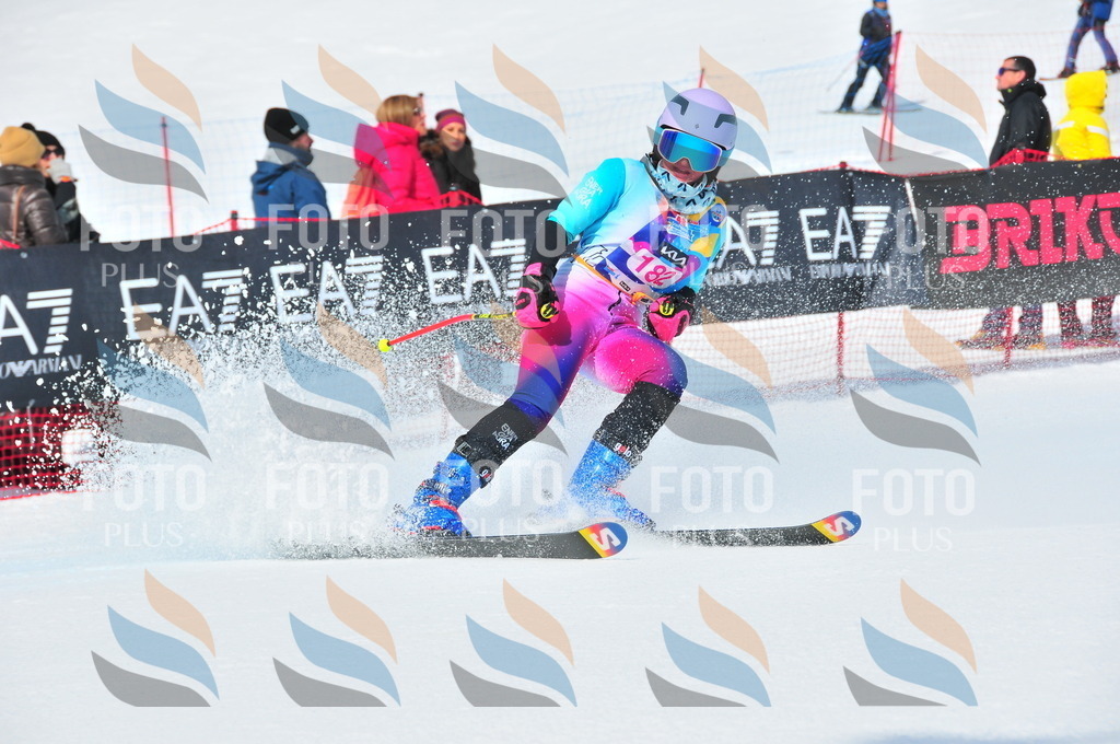 DSC_5376 | holidayphoto