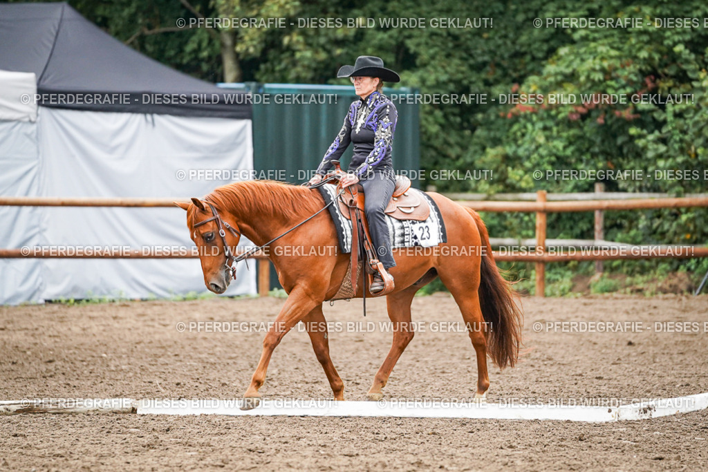 DSC03681 | Pferdegrafie