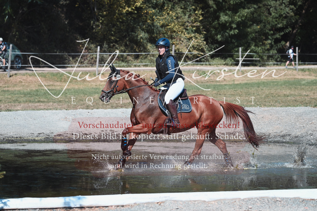 DSC_8519 | Pferde- und Turnierfotografie in Westsachsen. Pferdeportraits, Auftragszeichnungen und intuitive Kunst.