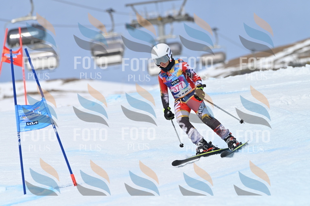 BGV_4126 | holidayphoto