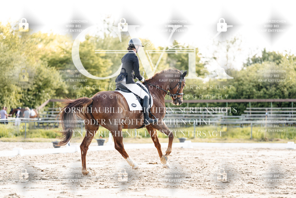 CK909777 | Turnierfotografie Pferdefotografie Trier Rheinland-Pfalz Pferdesport Reitsport Tierfotografie Sportfotografie Pferdevideo Pferdevideografie Equestrianvideography equestrianphotography  - Realisiert mit Pictrs.com